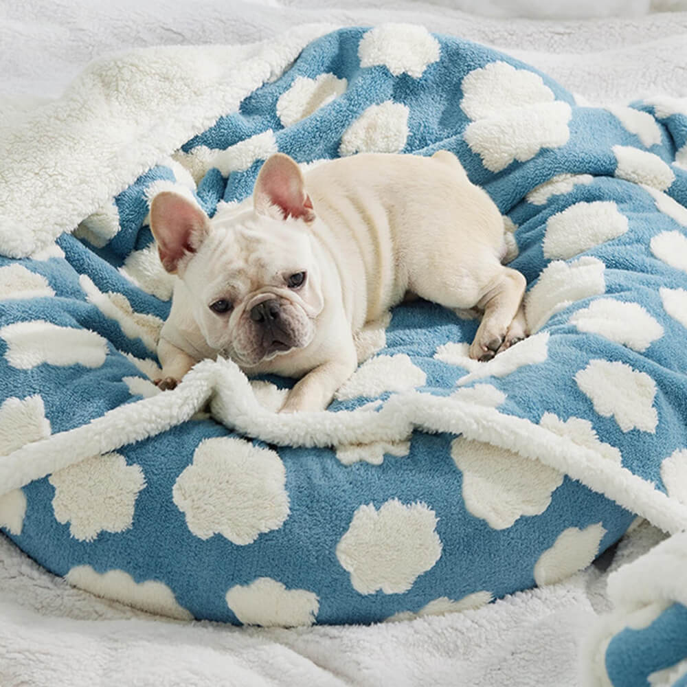 Cloud Flocked Water Water-Funcional Sherpa Dog Manket
