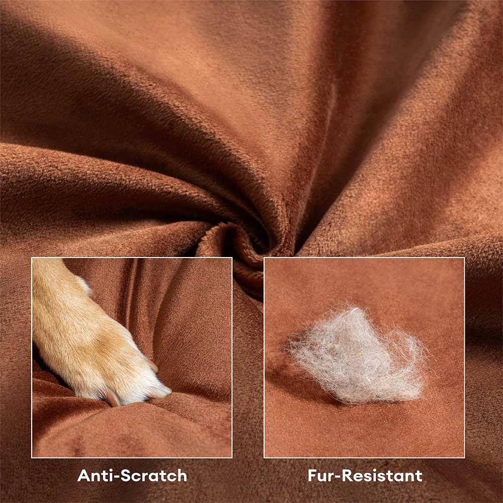 Deluxe Silk Velvet extraíble Bed ortopédico para perros con almohada - Regalrest