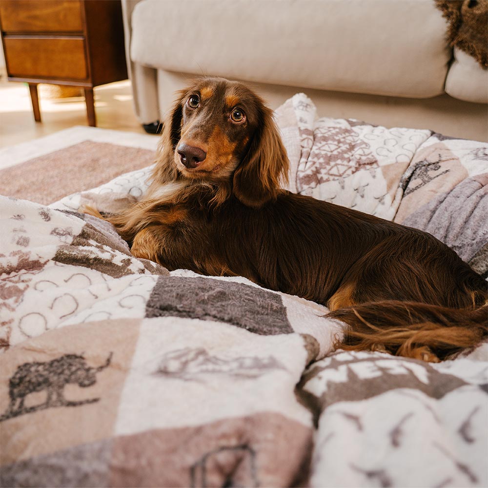 Cama de perros redonda de perros relajante de Boho Tassel lavable - Noche de cazadores