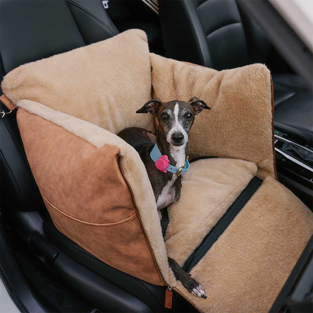 Gran calidez esponjosa Safe Safe Booster Carpher Booster Asiento de asiento y rover Rover