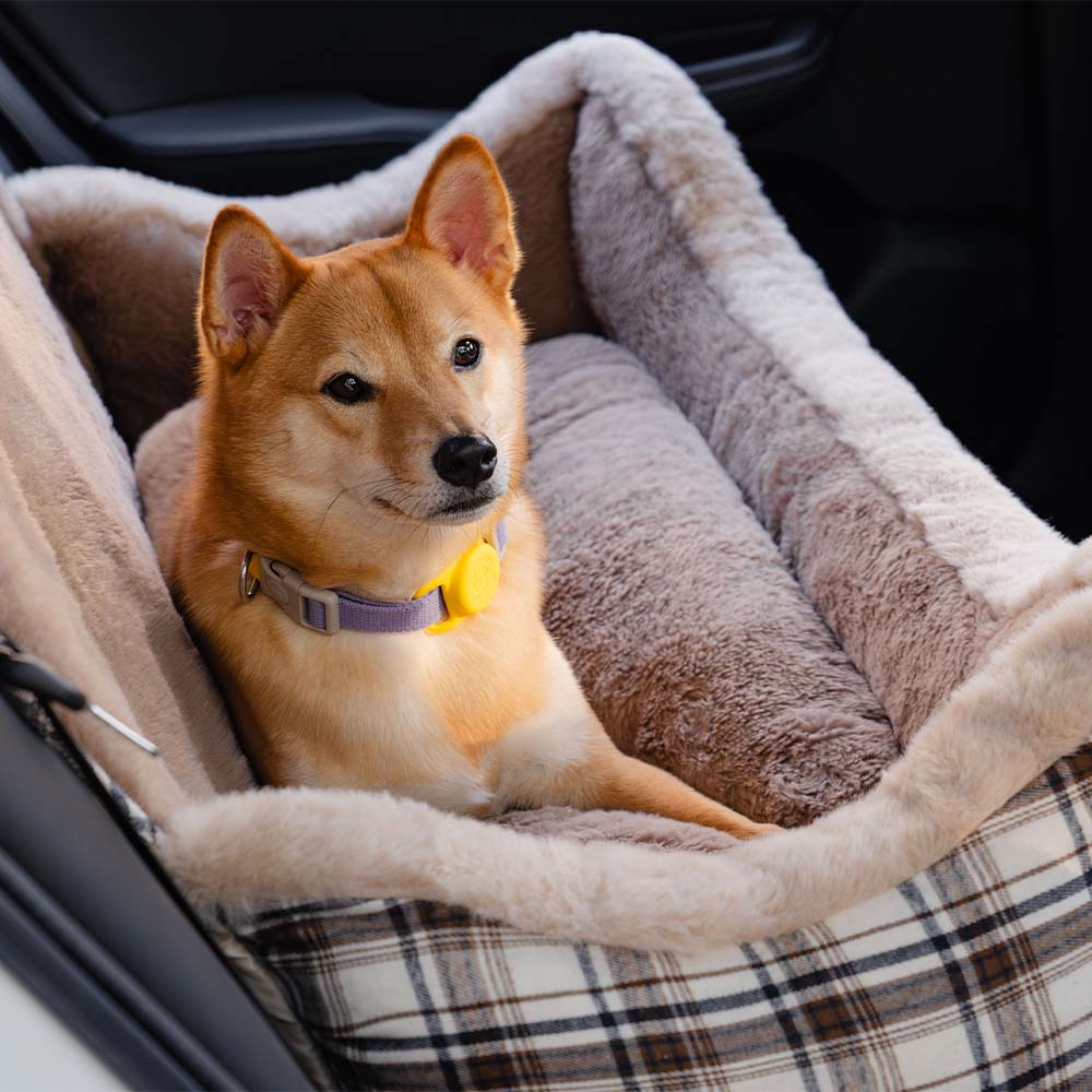Gran clásico y esponjoso refuerzo para perros asiento para perros segura