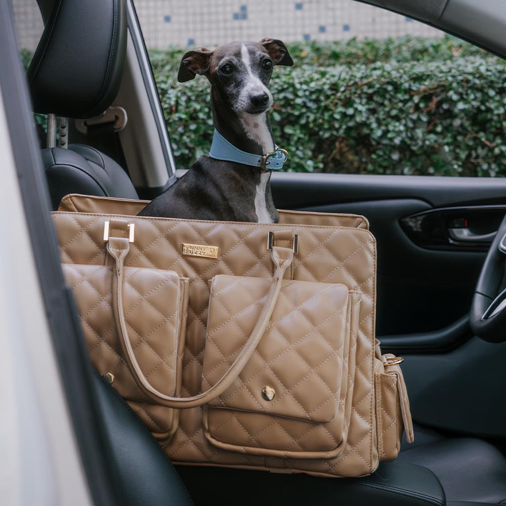 Largante de transporte grande y elegante Bolsa de mascotas de viajes humanos multifuncionales-Tail errante