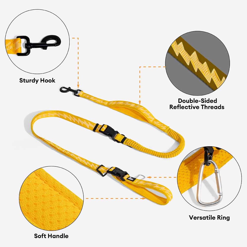 Correo de perros de nylon de mango suave versátil de doble lado de doble cara - Caminador flexible