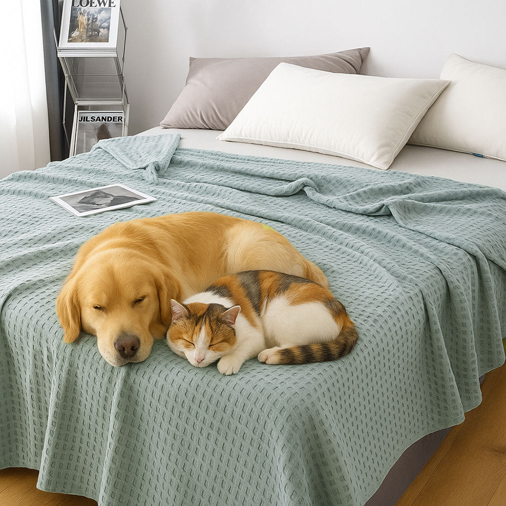 All-Season Lightweight Breathable Cotton Waffle Throw Blanket for Pets & People