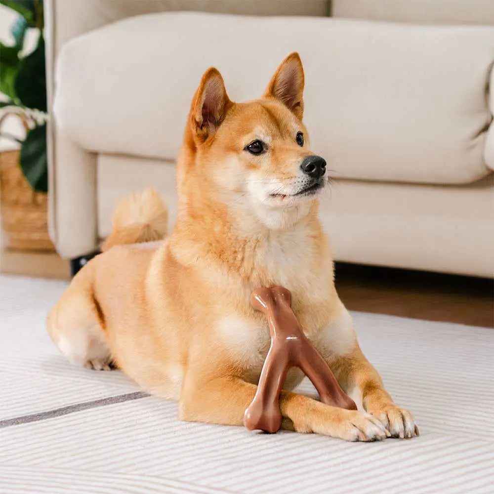 Bones de dentición para perros Chew Toy - con sabor a tocino