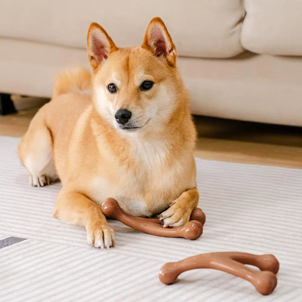 Bones de dentición para perros Chew Toy - con sabor a tocino