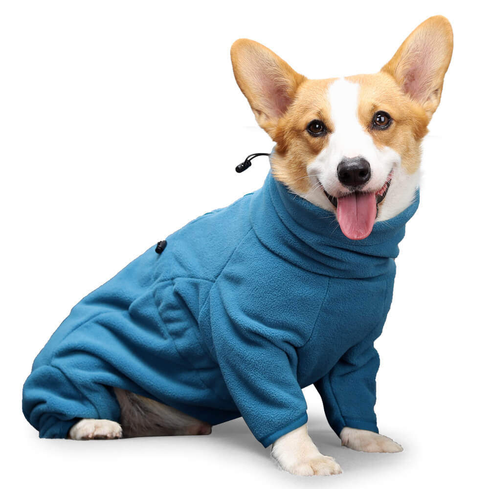 Traje de perros de vellón: calidez acogedora y de cuerpo completo para el clima frío
