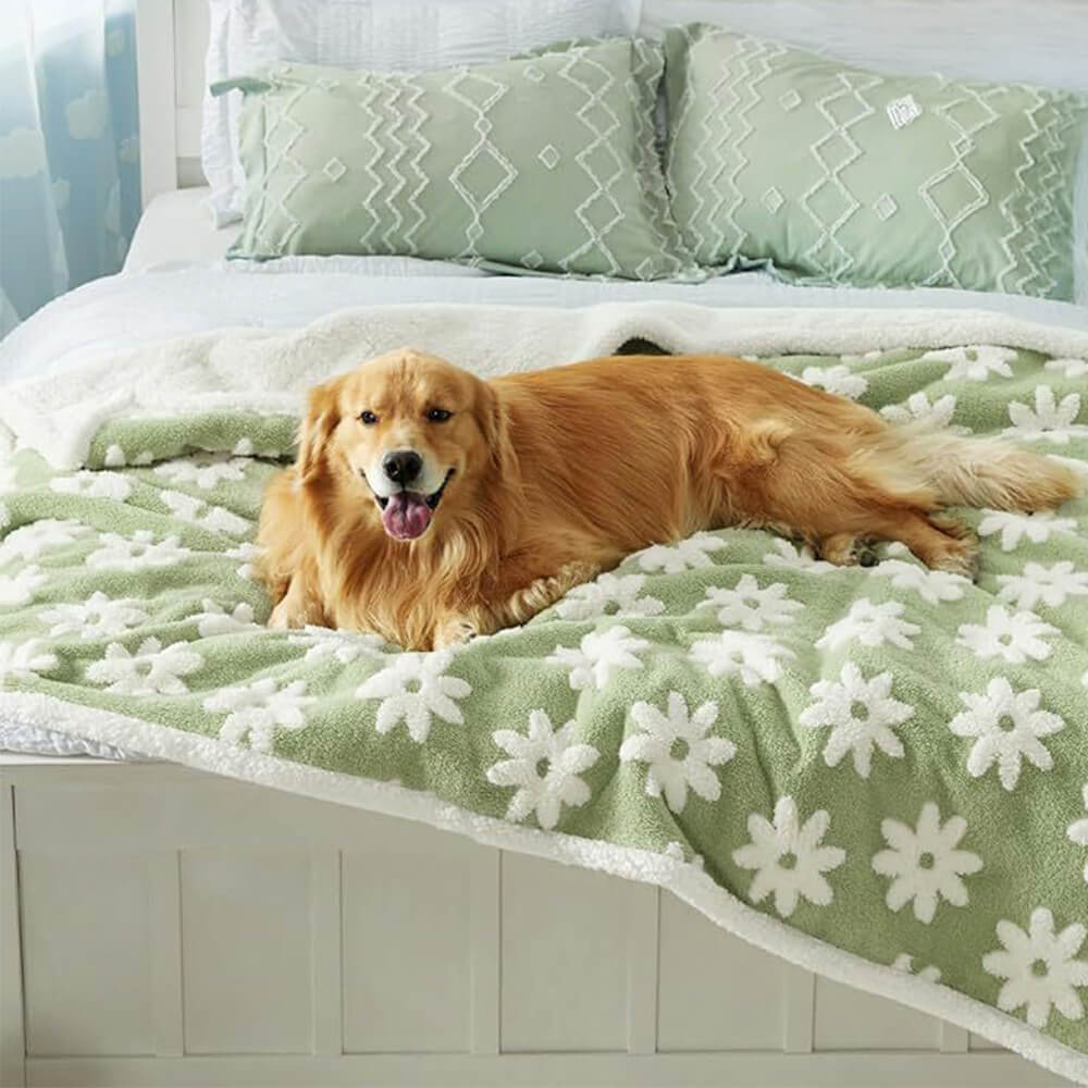 Cloud Flocked Water Water-Funcional Sherpa Dog Manket