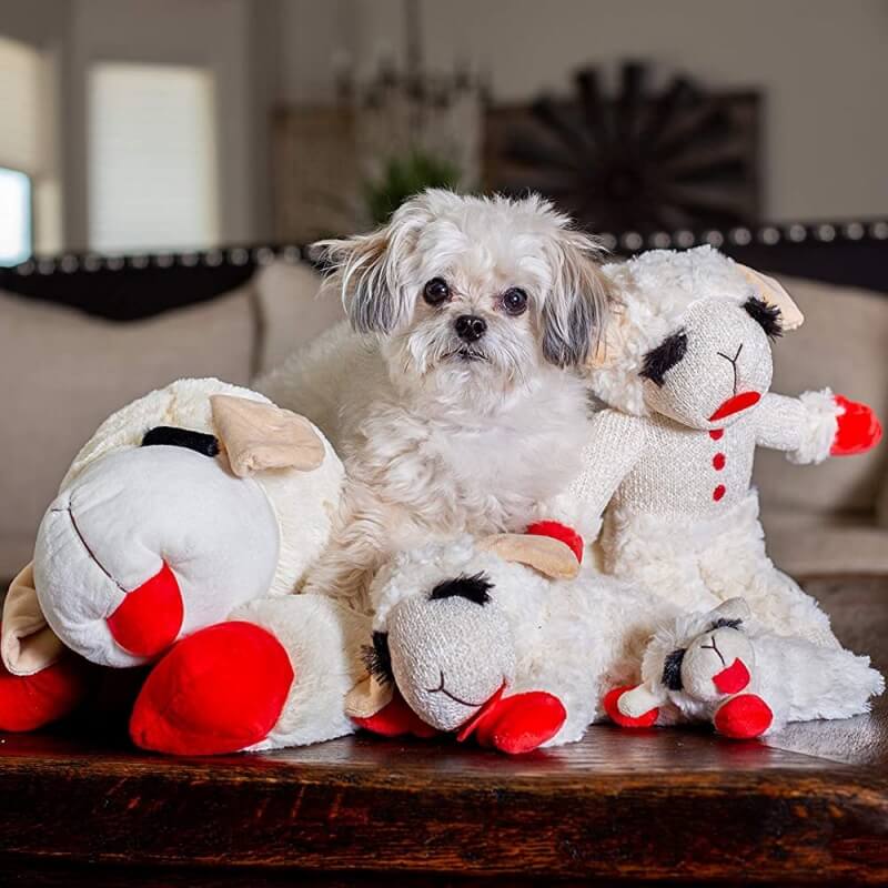 Plush Squeaker Toy Toy Dog Toys Interactive Toys