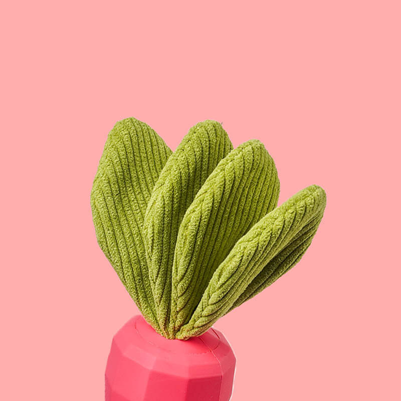 Juguete de zanahoria chirriante