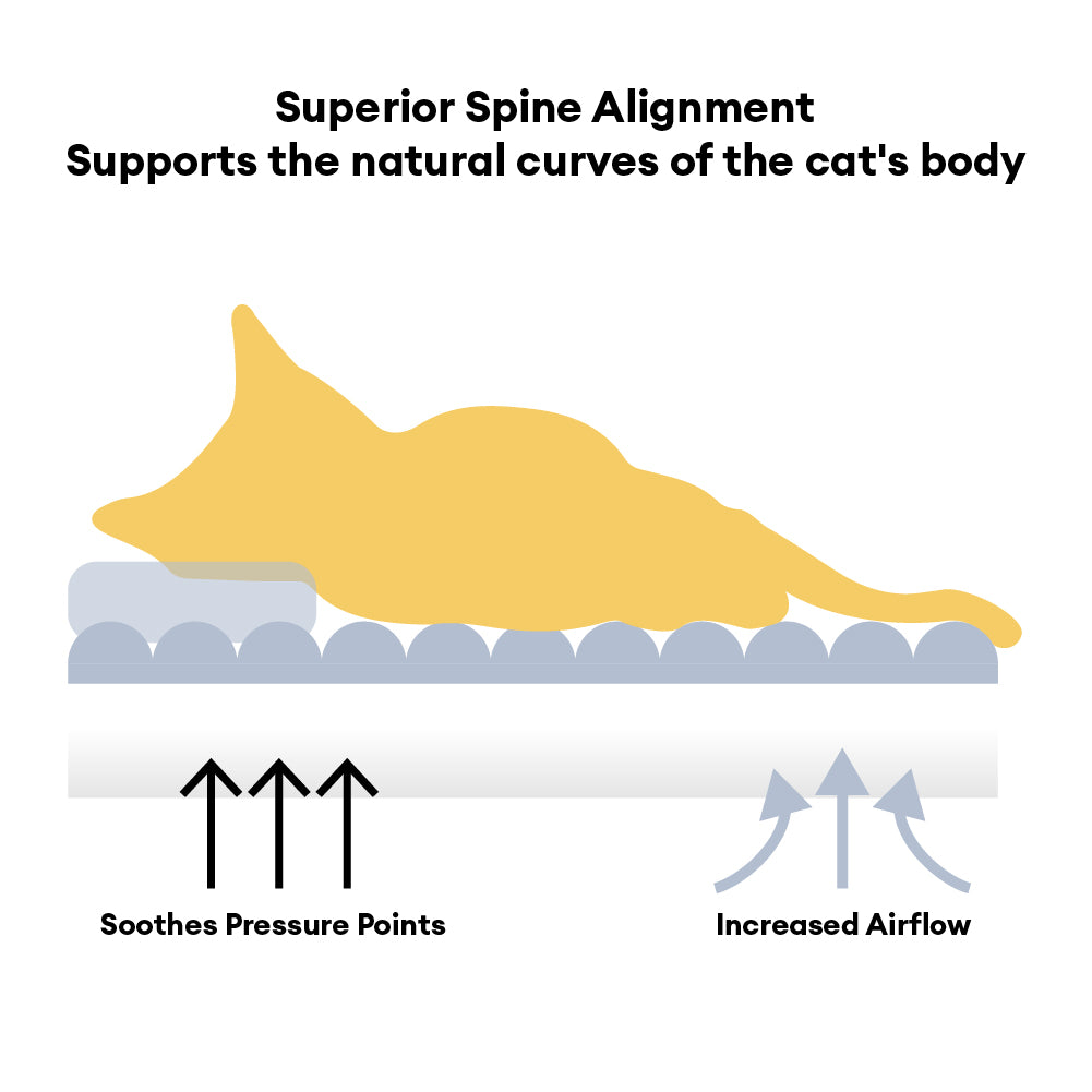 Camino de sofá Catsid Orthopedic Bolster Class Bolster - Acogedor comodidad