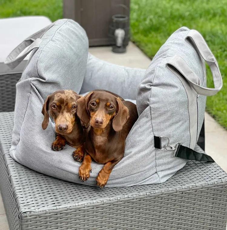 Accesorios para el asiento para perros correas ajustables multifunción