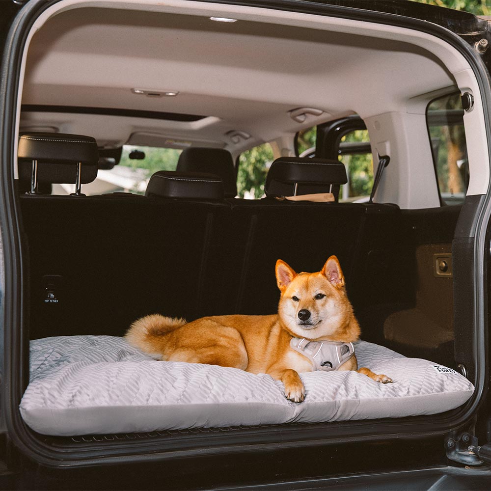 Alfombra de perros relajante lavable de peluche de doble cara