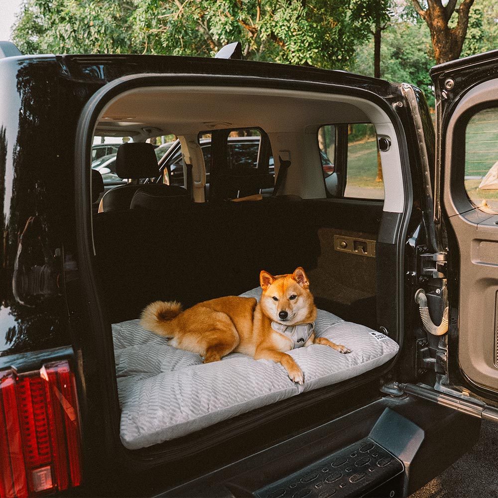 Alfombra de perros relajante lavable de peluche de doble cara