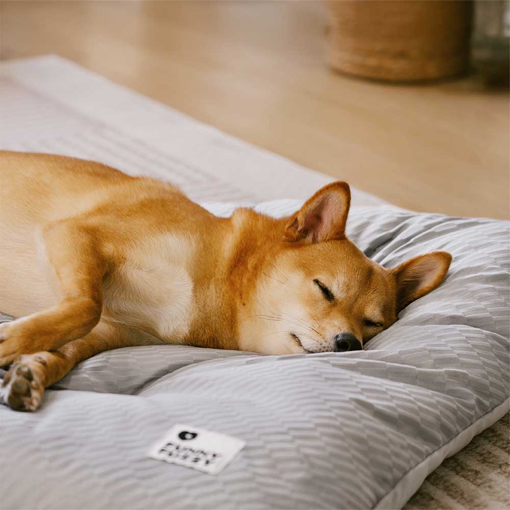 Alfombra de perros relajante lavable de peluche de doble cara