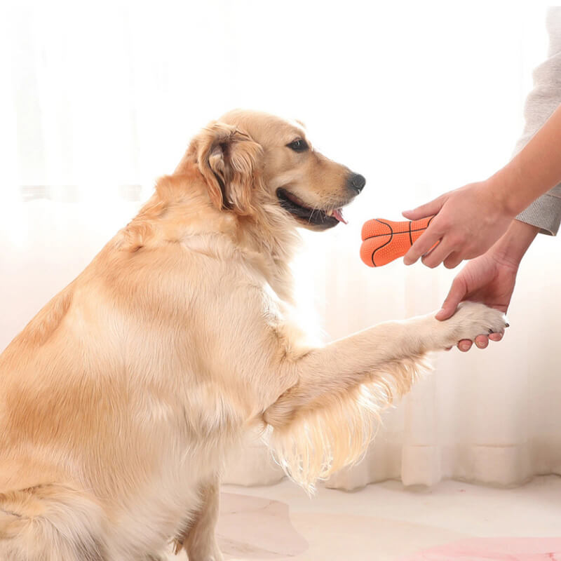 Juguete para perros de juguete de hueso chillido duradero