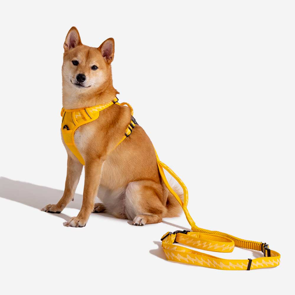 Funnyfuzzy reflectante mazo de perros al aire libre ajustable - Flexi Walker