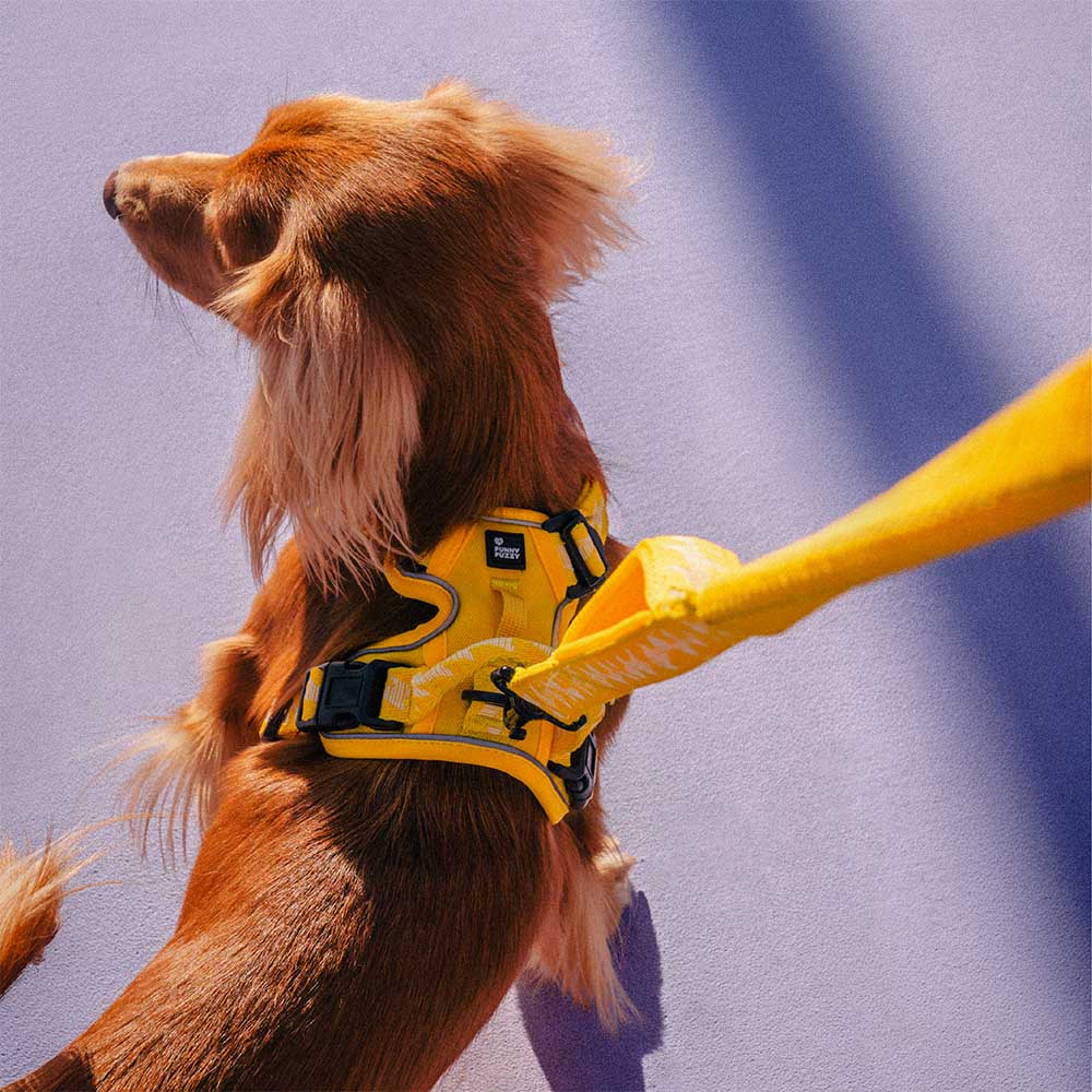 Funnyfuzzy reflectante mazo de perros al aire libre ajustable - Flexi Walker