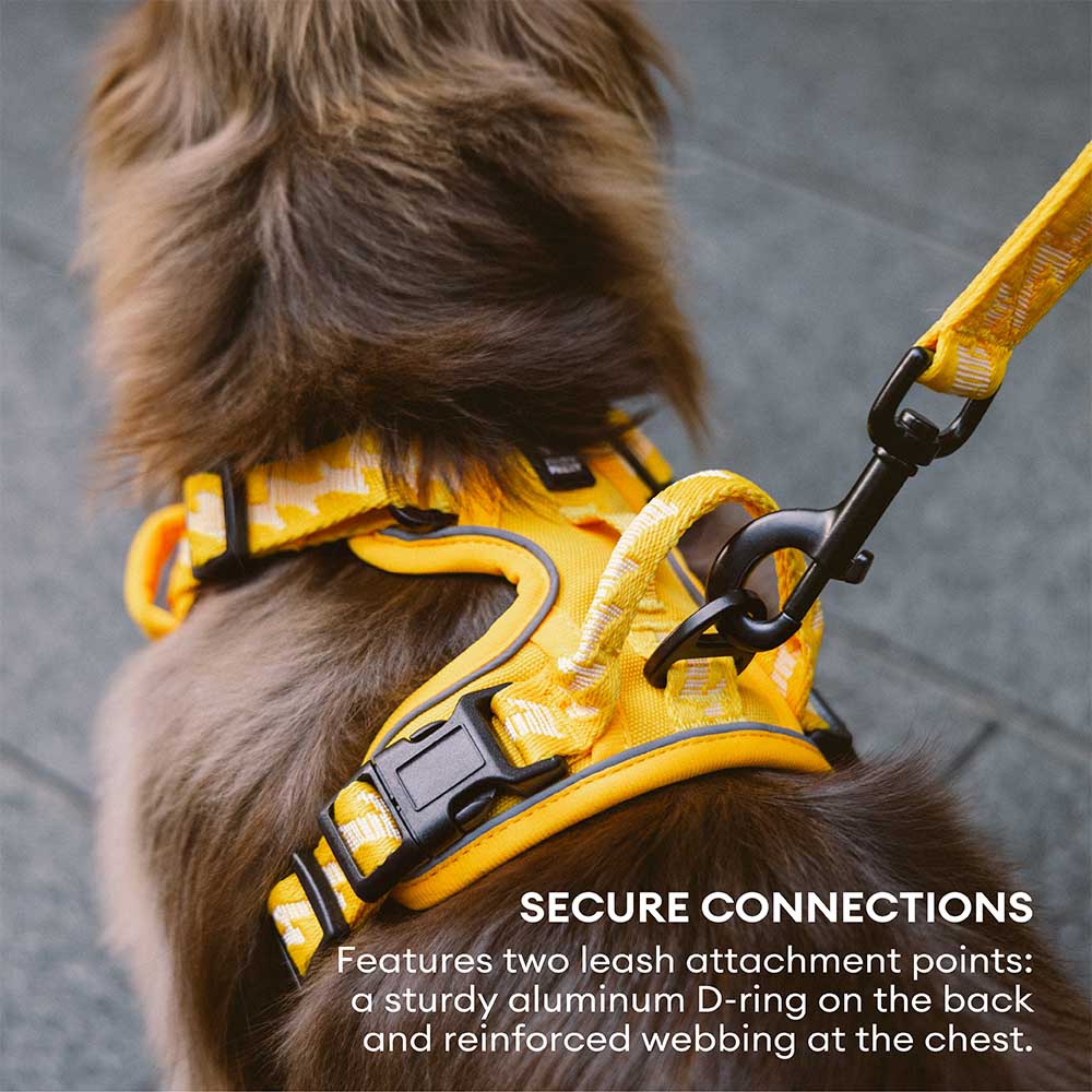 Funnyfuzzy reflectante mazo de perros al aire libre ajustable - Flexi Walker