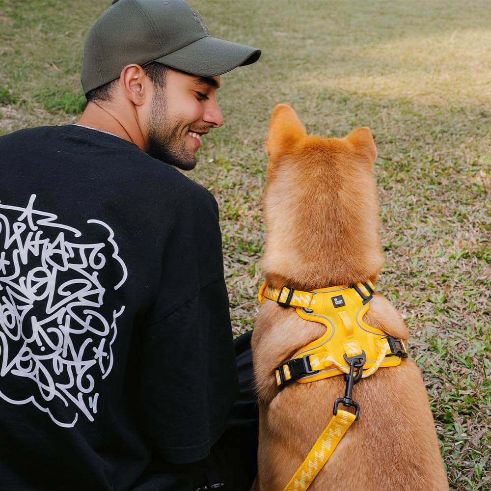 Funnyfuzzy reflectante mazo de perros al aire libre ajustable - Flexi Walker