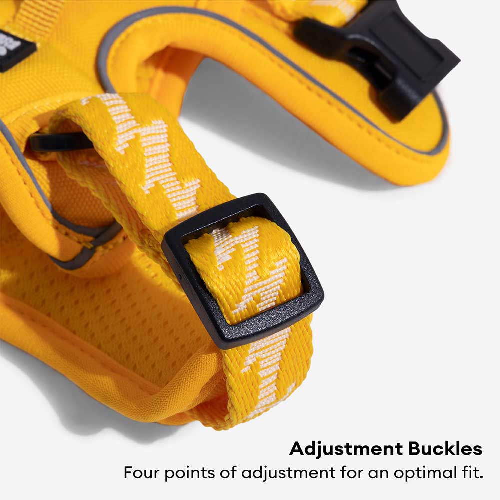 Funnyfuzzy reflectante mazo de perros al aire libre ajustable - Flexi Walker
