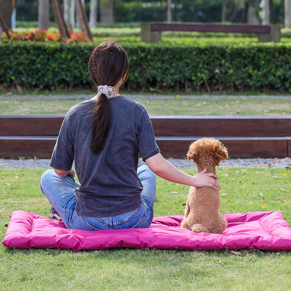 Estera de mascotas plegable impermeable al aire libre para automóviles y acampar