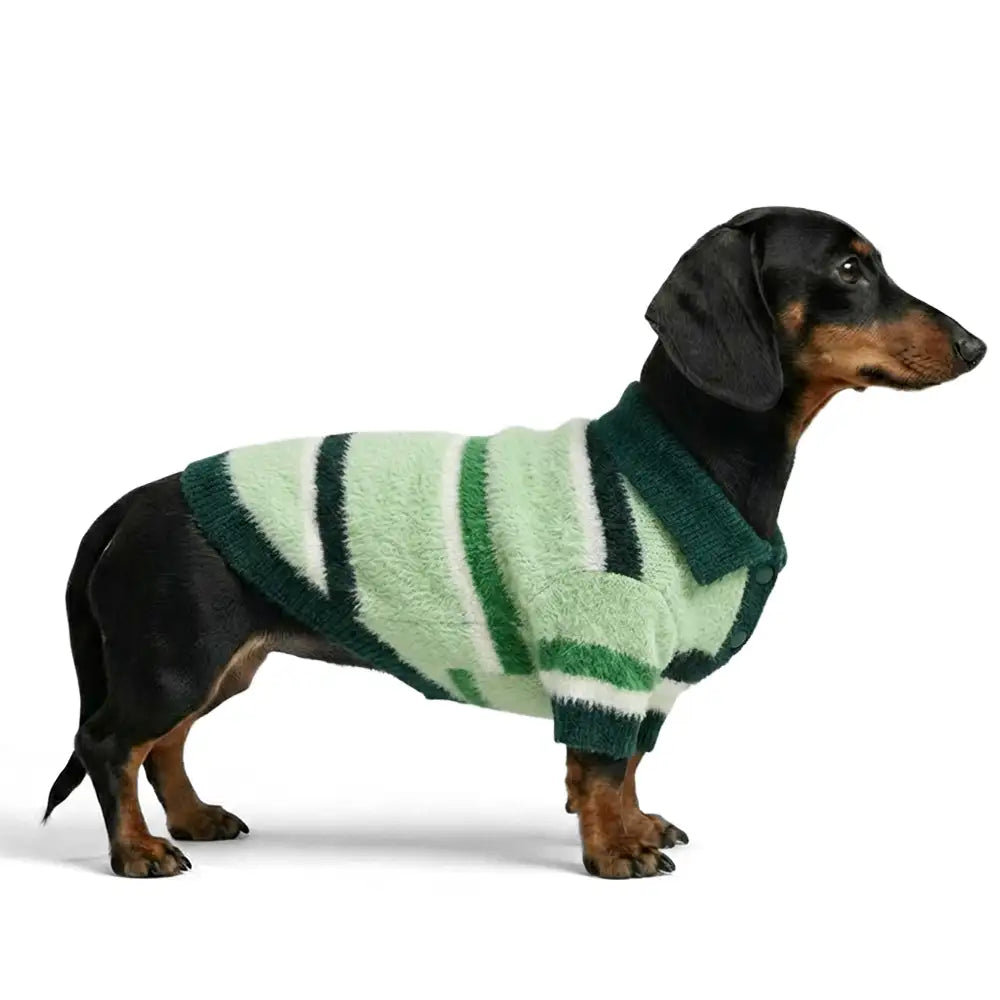 Color-Blocked Striped Faux Mink Fur Warm Dachshund Dog Sweater Suitable For Puppies
