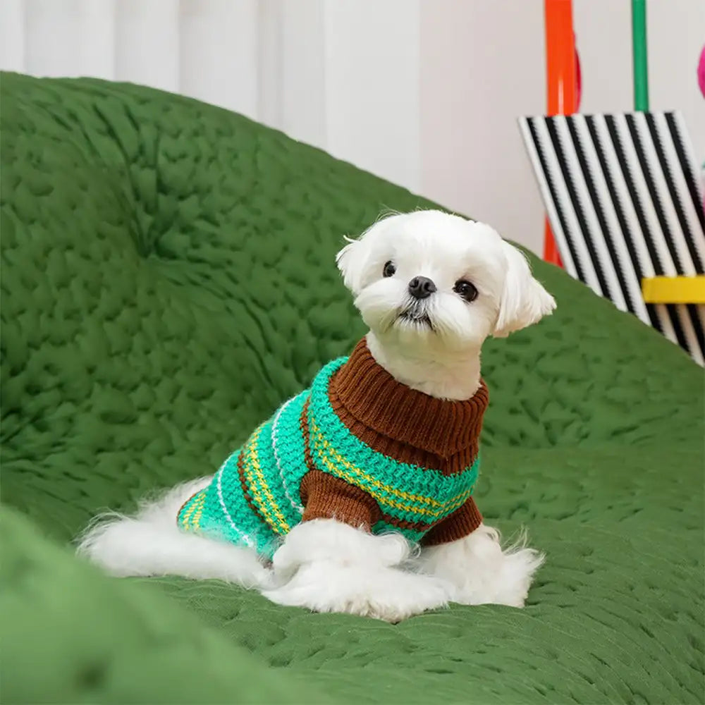 Color Blocked Striped Dachshund Dog Sweater