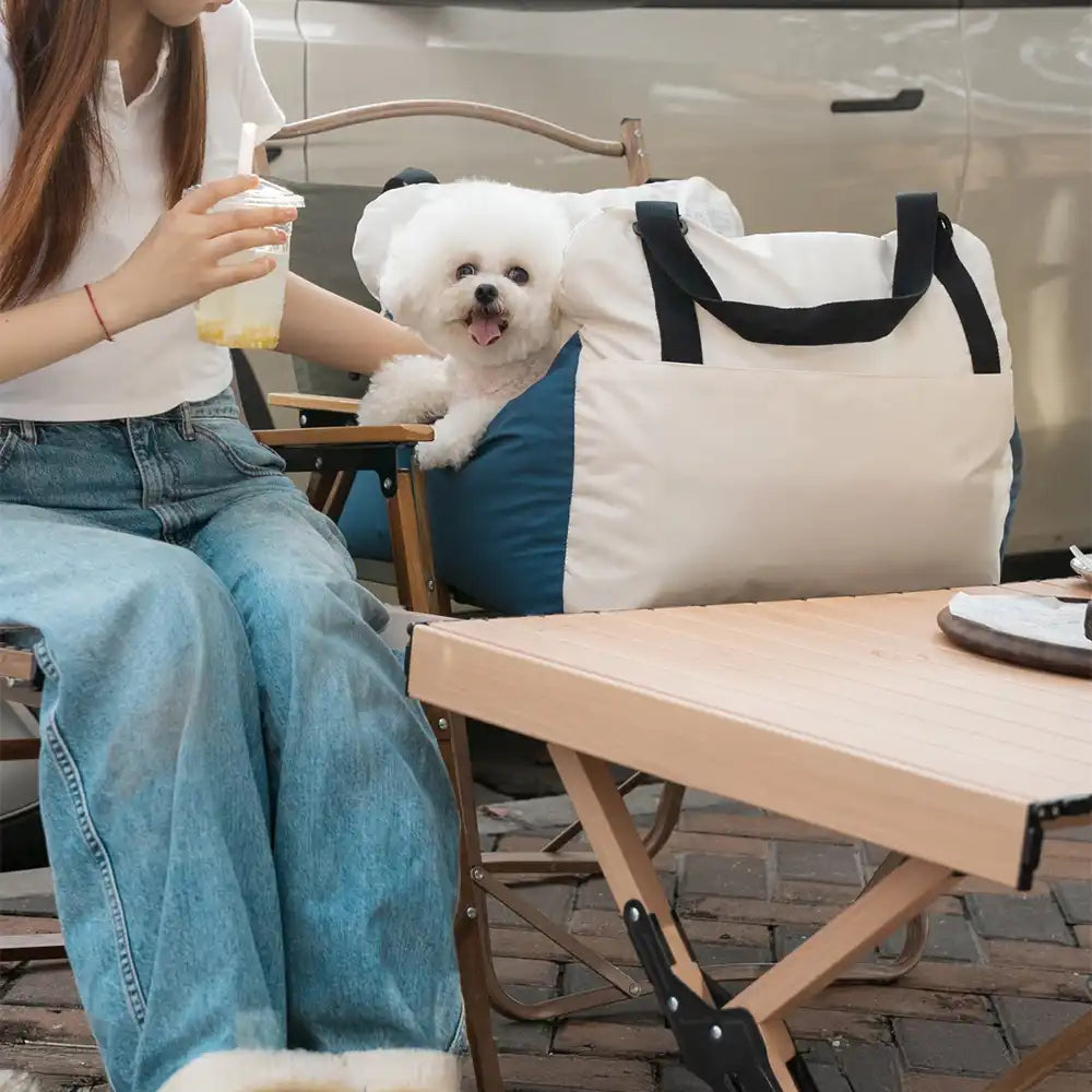 Color-block Travel Booster Multi-Functional Dog Car Seat Bed