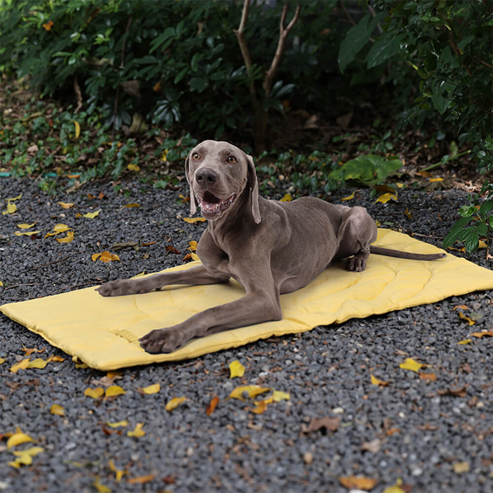 Alfombra de acampar para perros plegable para perros portátiles impermeables