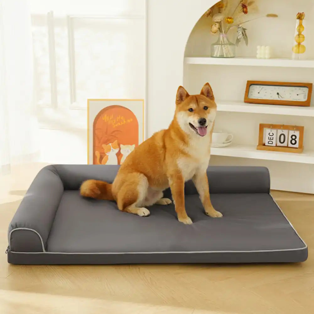 Cama ortopédica de espuma de huevo impermeable con lados de perros grandes para refugios