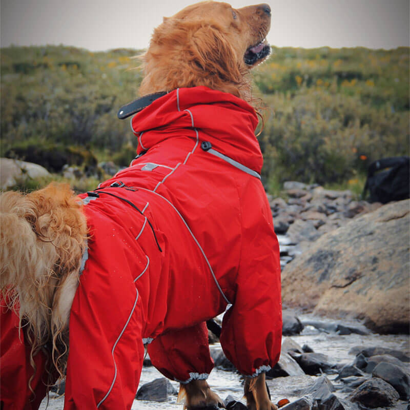 Gran chaqueta para perros al aire libre capa impermeable para perros ajustables para perros