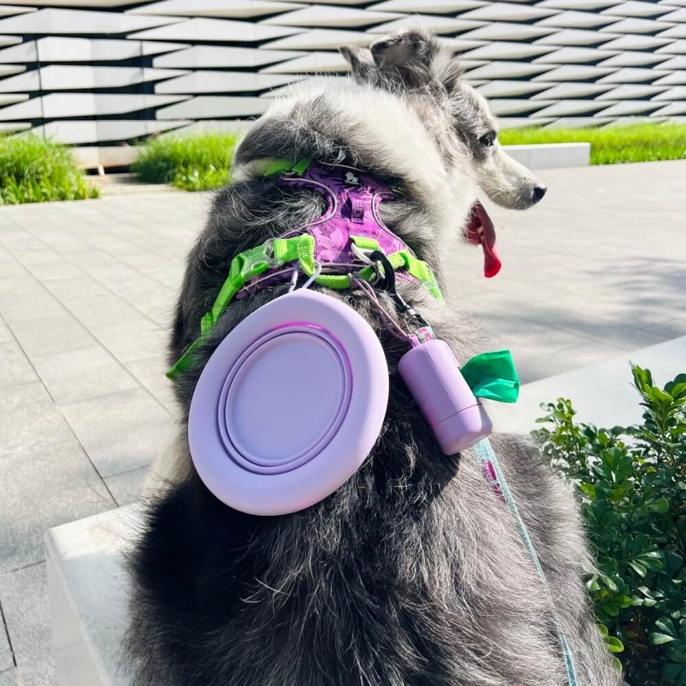 Cuenco plegable para mascotas tazón de silicona portátil