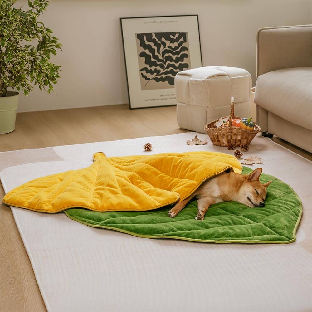 Matera para perros lavable en forma de hoja de felpa: el colector de hojas
