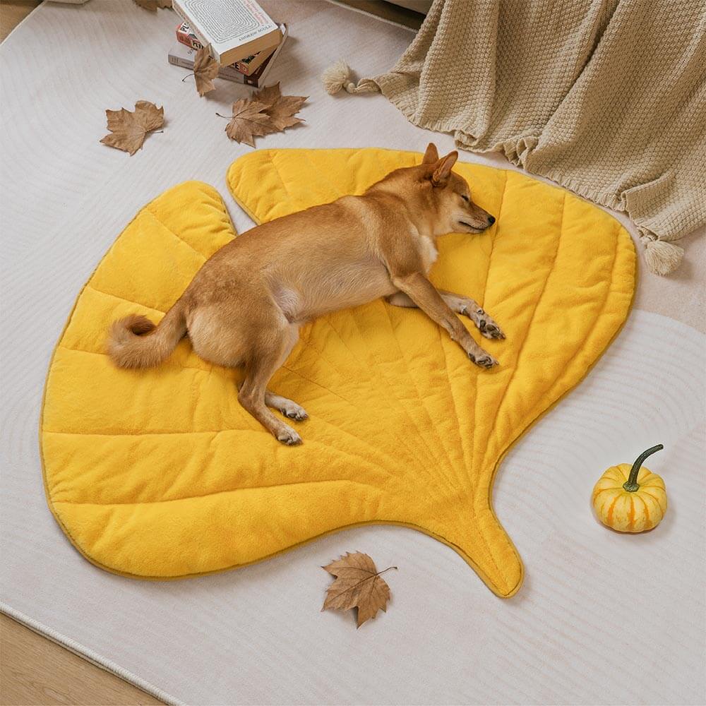 Matera para perros lavable en forma de hoja de felpa: el colector de hojas