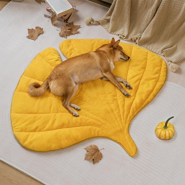 Matera para perros lavable en forma de hoja de felpa: el colector de hojas
