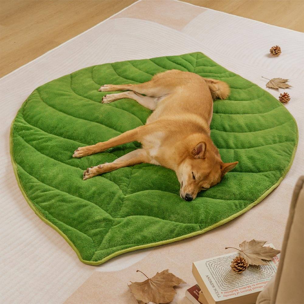 Matera para perros lavable en forma de hoja de felpa: el colector de hojas