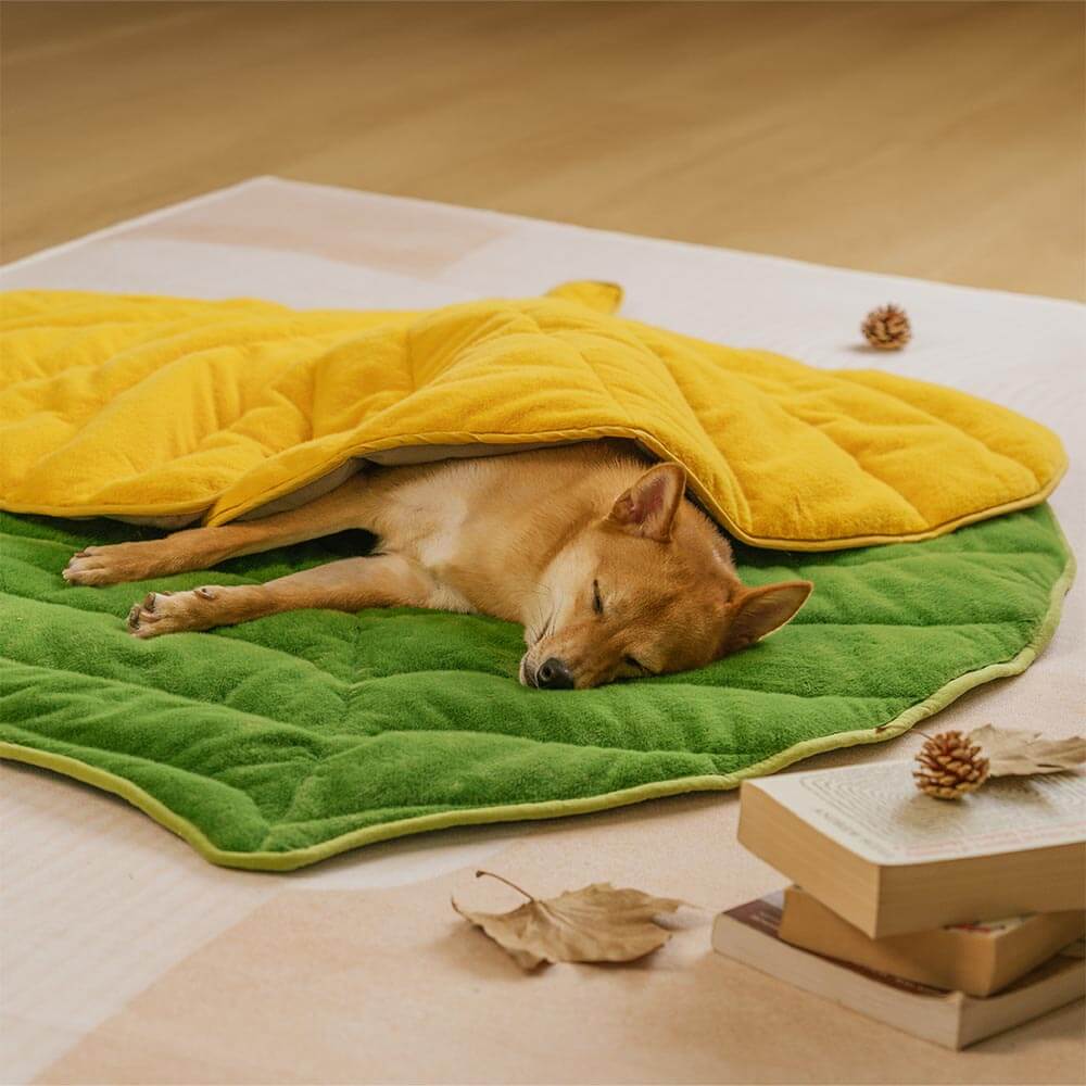 Matera para perros lavable en forma de hoja de felpa: el colector de hojas