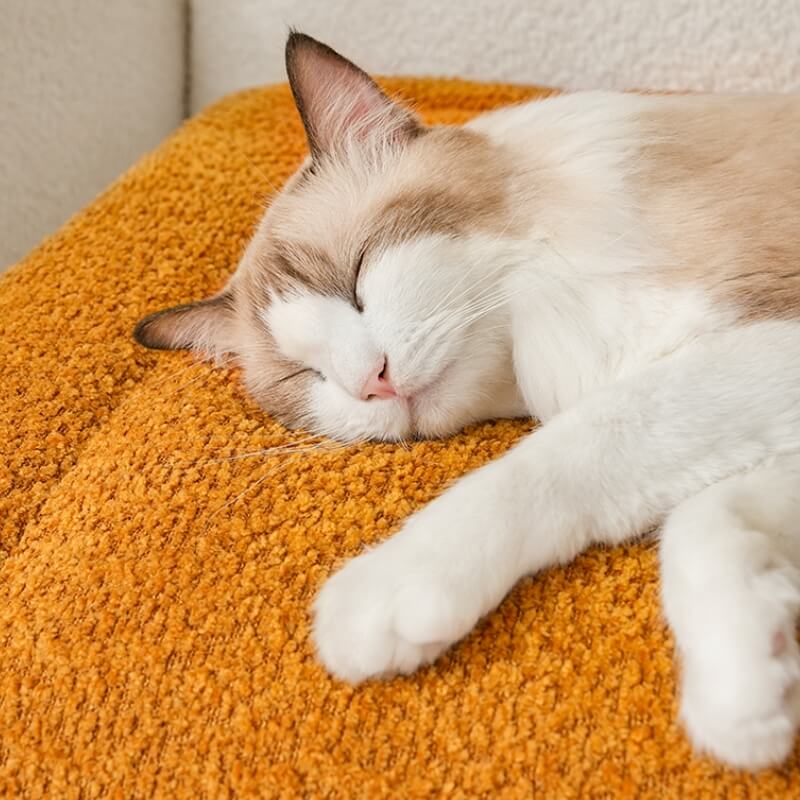 Alfombra de mascotas de felpa sin deslizamiento cálida y cómoda