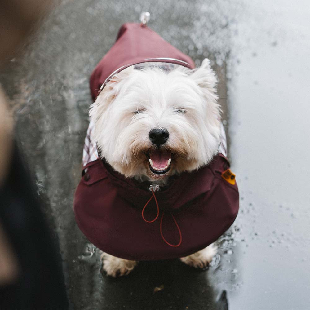 Impermeable a cuadros vintage a cuadros Rair para perros ajustables - Protección para todo clima
