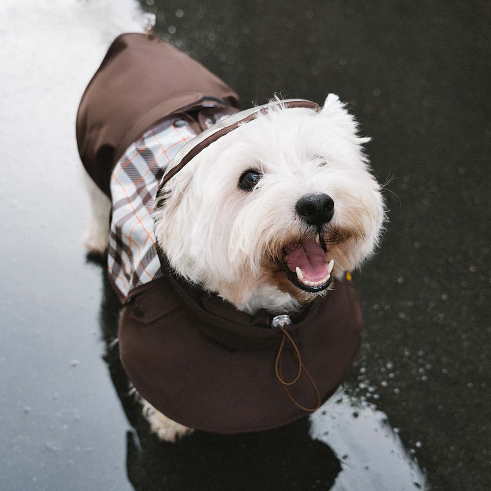 Impermeable a cuadros vintage a cuadros Rair para perros ajustables - Protección para todo clima