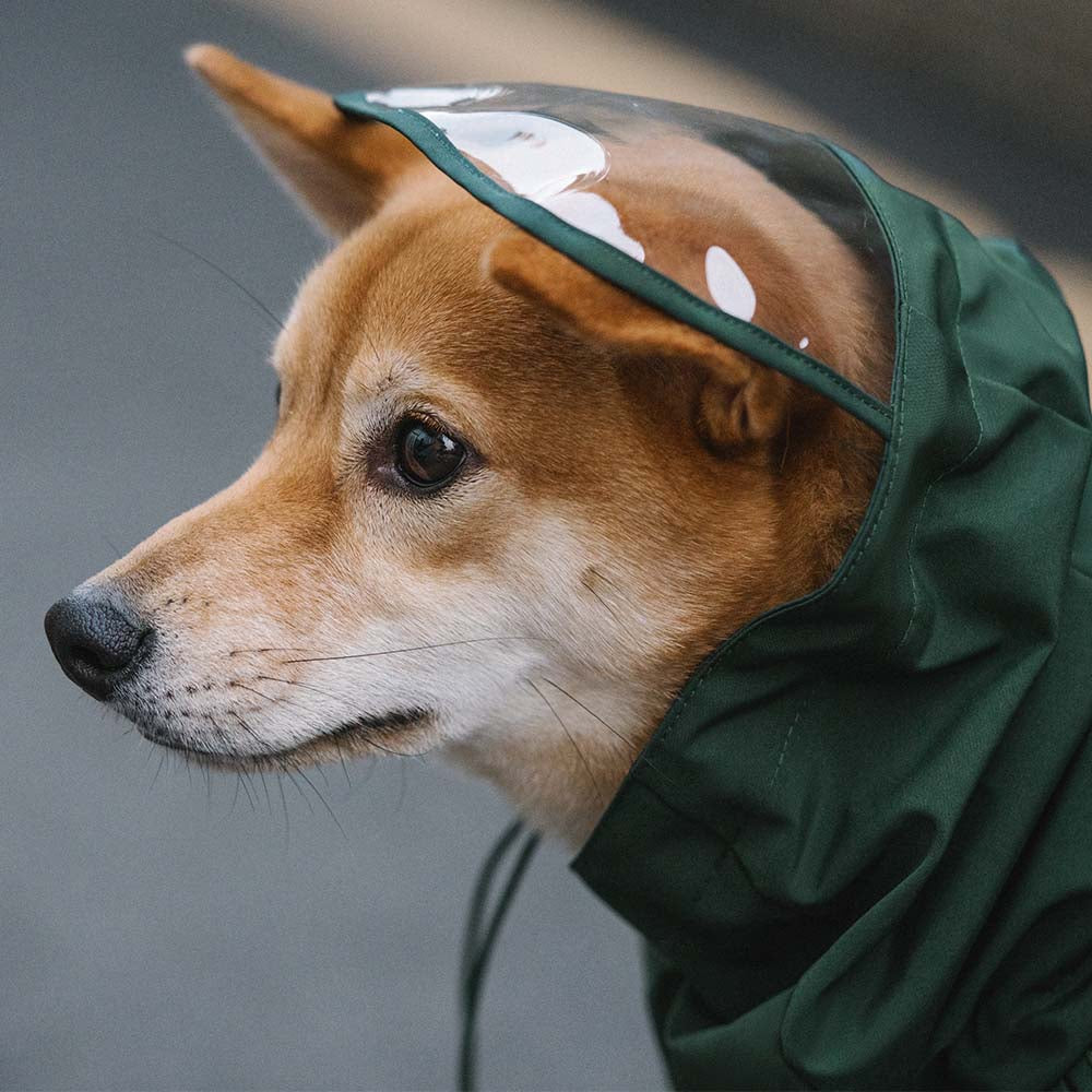 Impermeable a cuadros vintage a cuadros Rair para perros ajustables - Protección para todo clima
