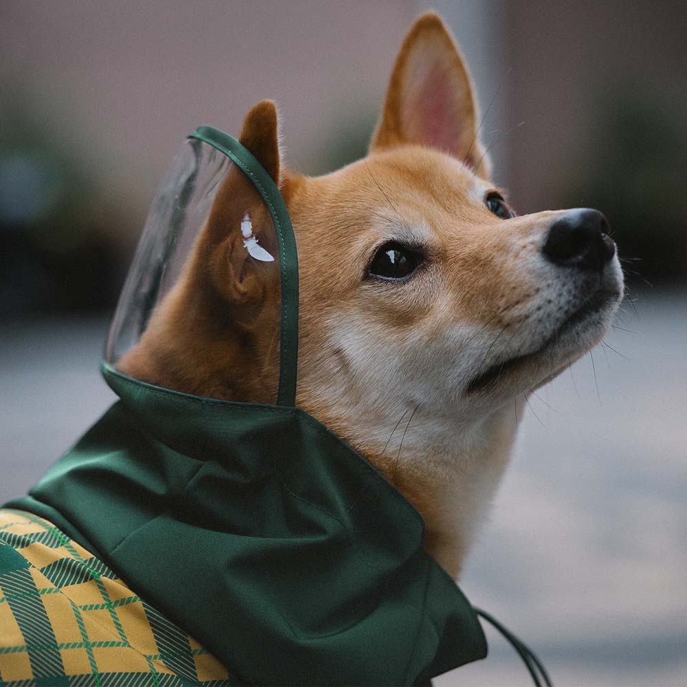 Impermeable a cuadros vintage a cuadros Rair para perros ajustables - Protección para todo clima