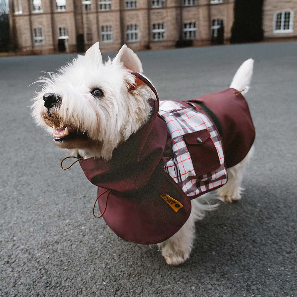 Impermeable a cuadros vintage a cuadros Rair para perros ajustables - Protección para todo clima