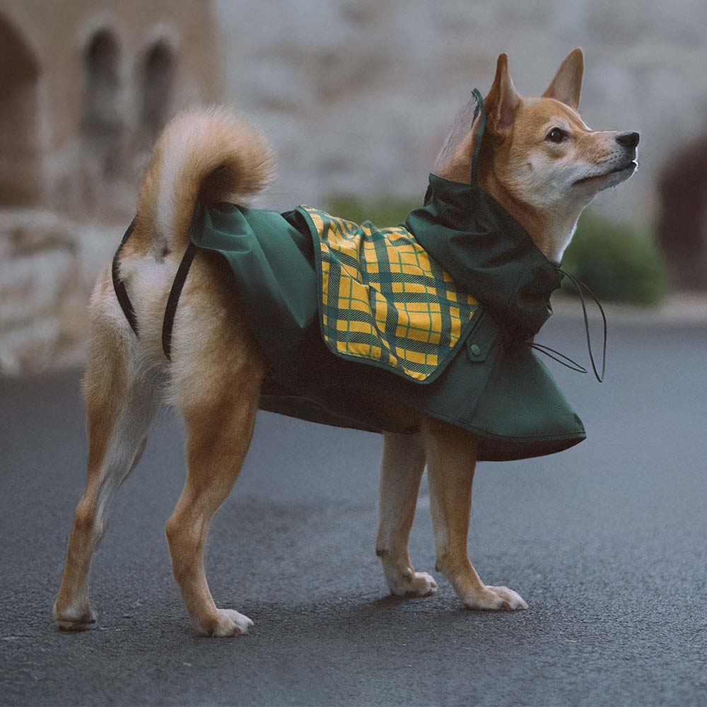 Impermeable a cuadros vintage a cuadros Rair para perros ajustables - Protección para todo clima
