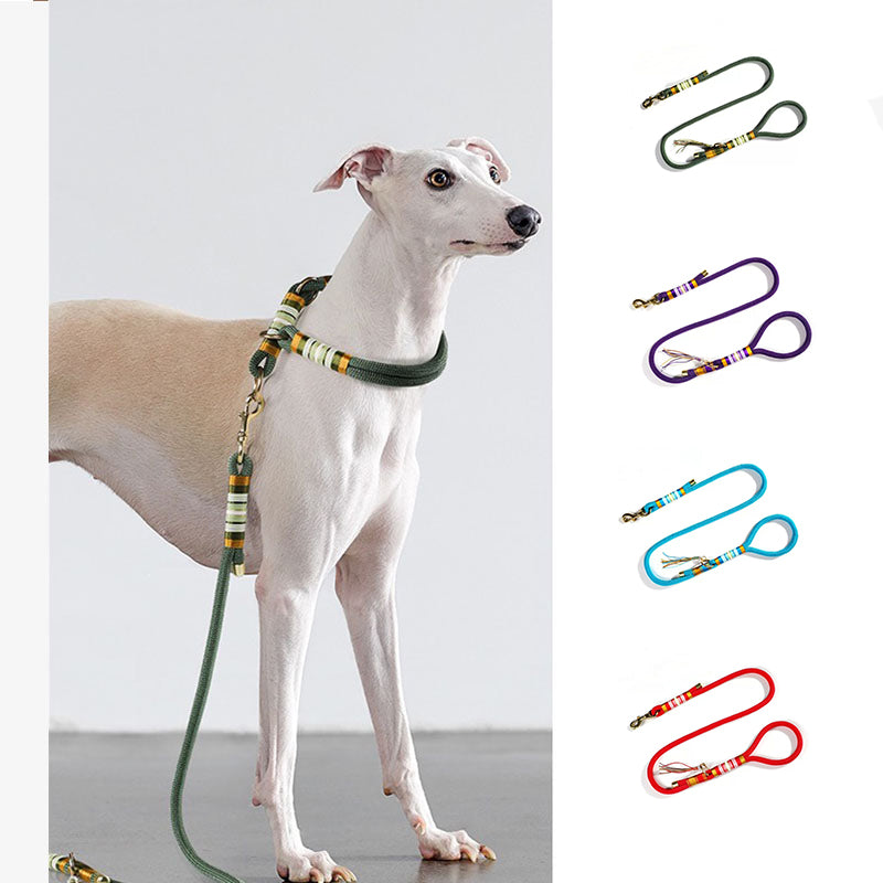 Cuerda trenzada con mano sin tirón accesorios para perros fríos collares de entrenamiento