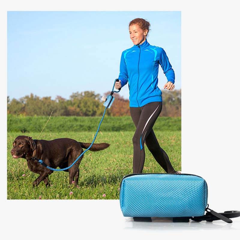 Bolsa de tela de oxford portátil Bolsas para caminar para perros Bolsas de desecho