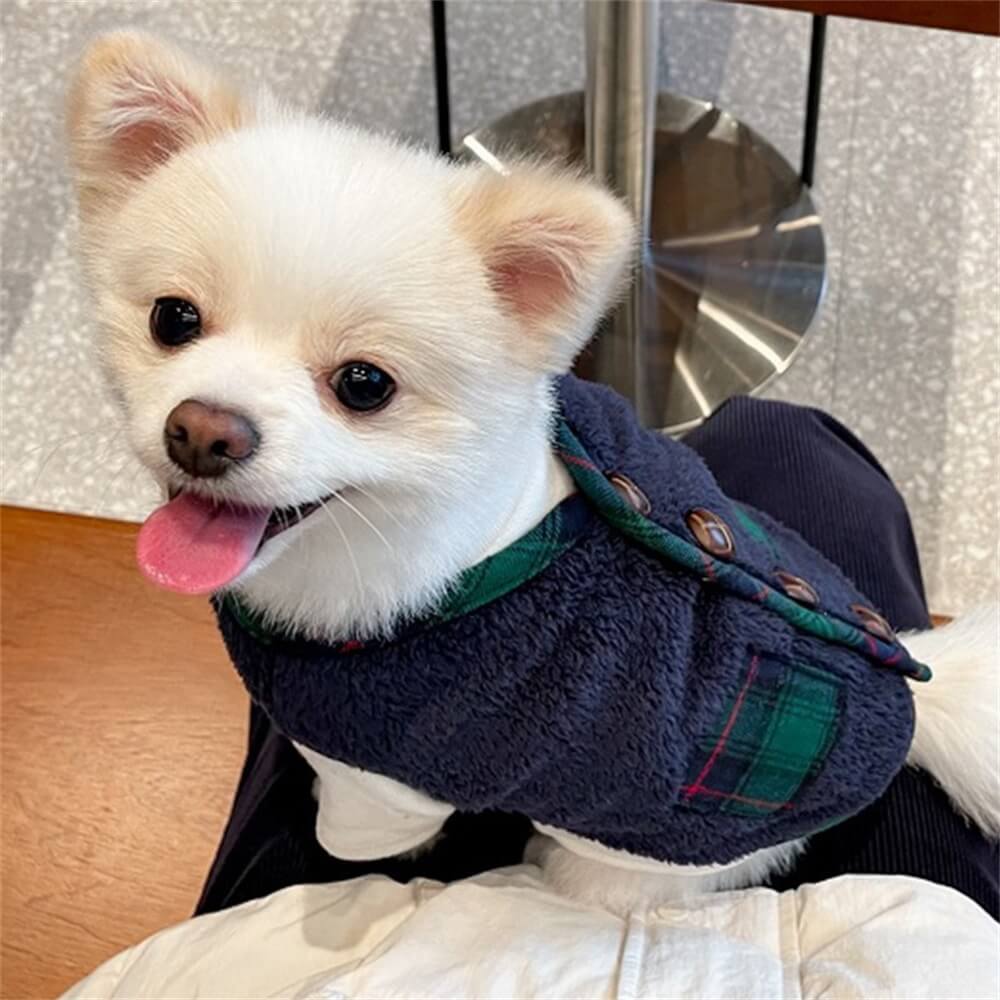 Plaid Winter Dog Jacket with Scarf – Festive and Cozy for the Holidays