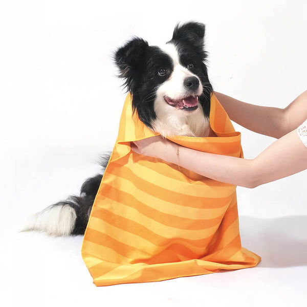 Manta de toalla para perros de viaje de color de viaje rápido ultra absorbente