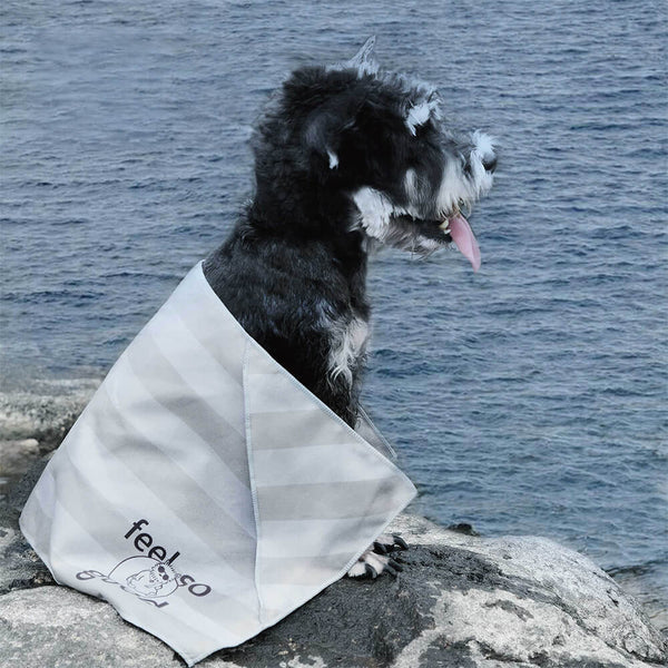 Manta de toalla para perros de viaje de color de viaje rápido ultra absorbente